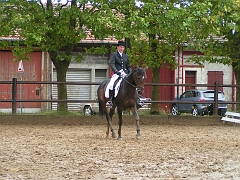 PO 2008 (3)